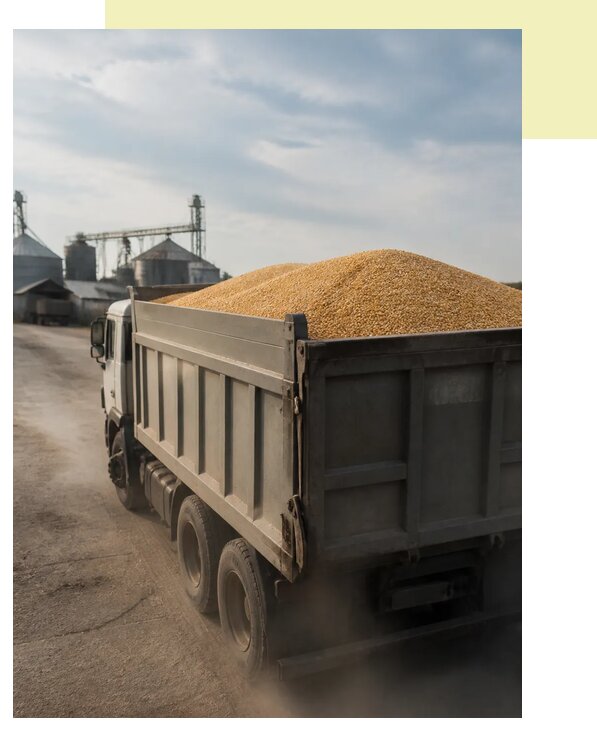Перевозка сельхозпродукции навалом в Лесну по цене от 3119 р. | Агросервис-Лсн