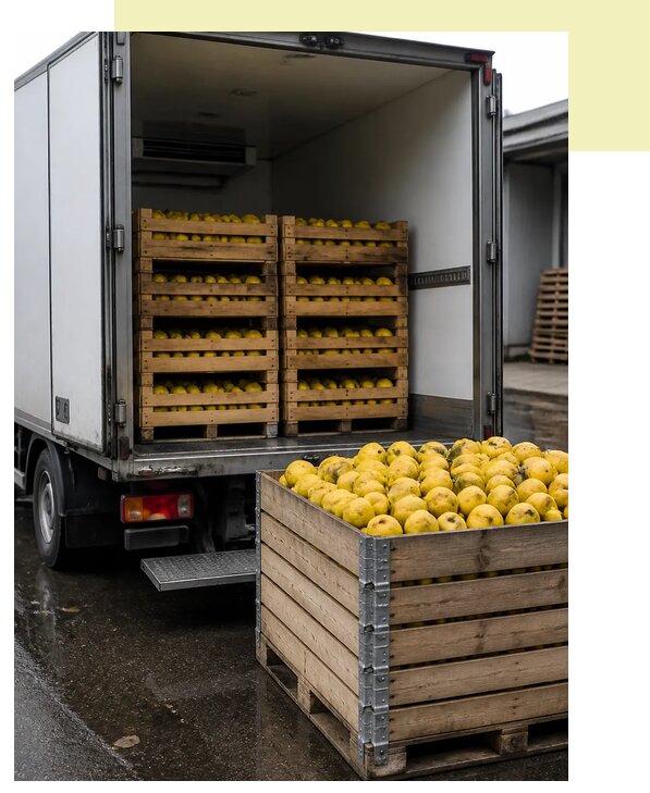 Перевозка айвы рефрижератором в Лесну по цене от 5198 р. | Агросервис-Лсн